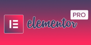 elementor-pro.png